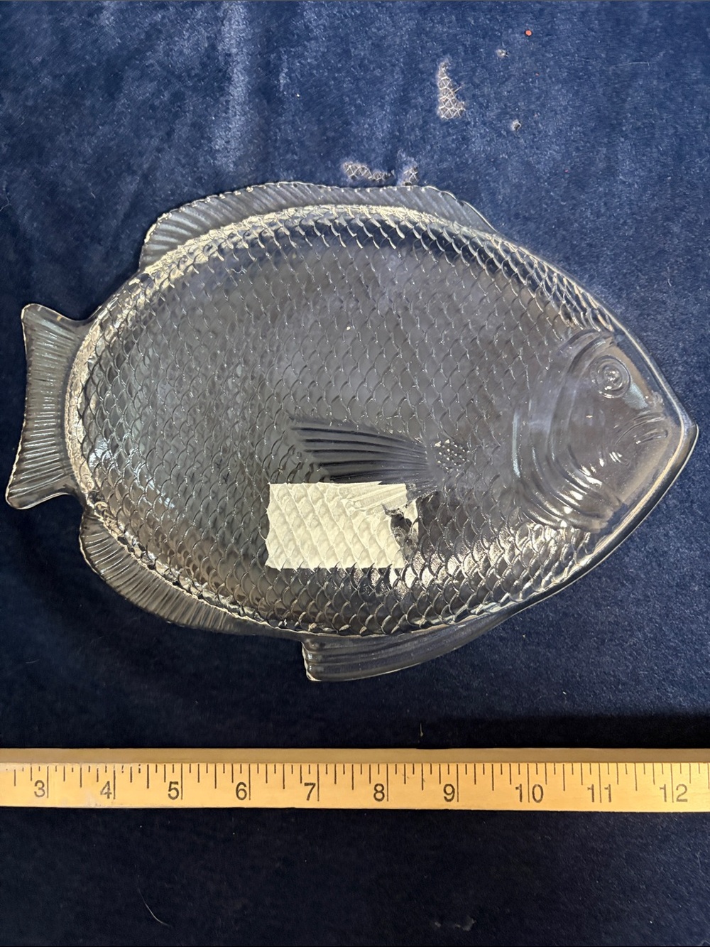Glass Fish Plate - Picture 2 of 2
